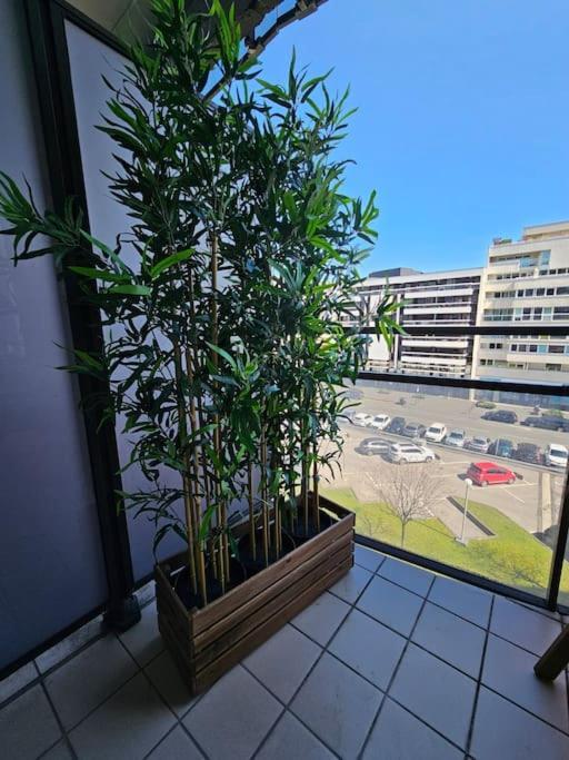 Apartment Le 19 #terrasse#parking Clermont-Ferrand